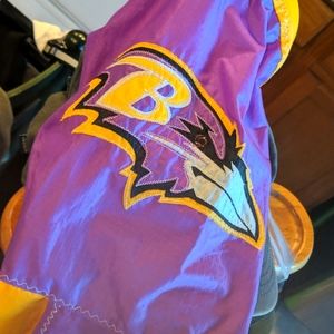 Baltimore Ravens Windsock